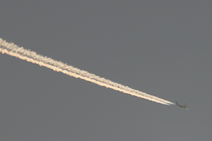 EI-IFS